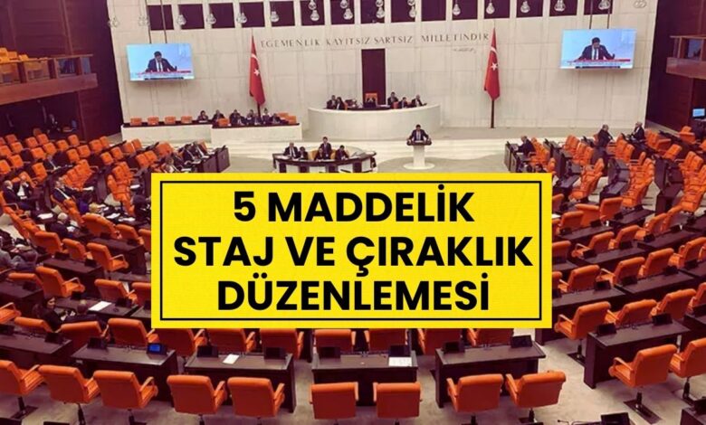 Son Dakika: Staj ve Çıraklık Mağdurlarına Emeklilik Müjdesi Yolda! 5 Maddelik Düzenleme Meclis'e Sunuldu!