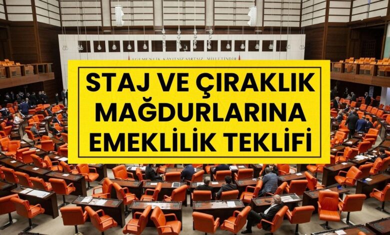 Staj ve Çıraklık Mağdurlarına Müjde: Emeklilik Teklifi Meclis'e Sunuldu